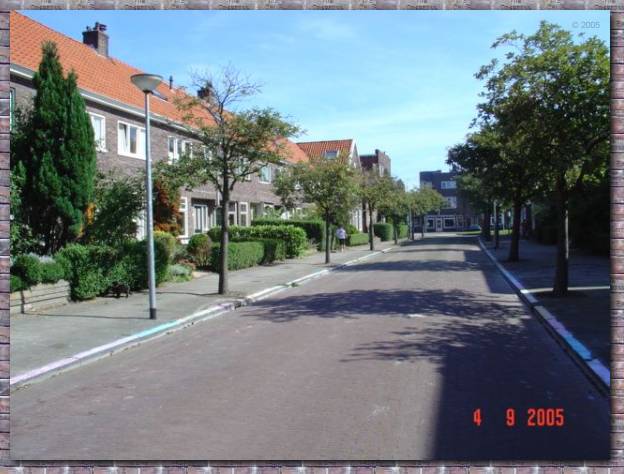 zomer2005 174.jpg